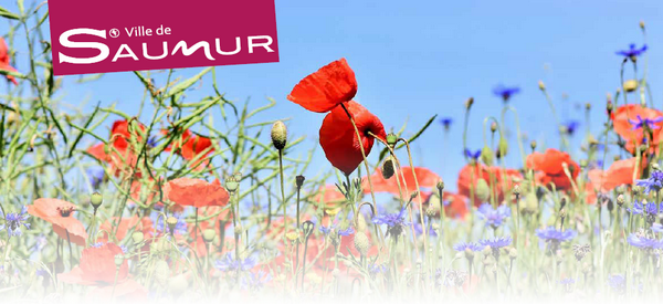 Saumur labellisée ville fleurie trois fleurs