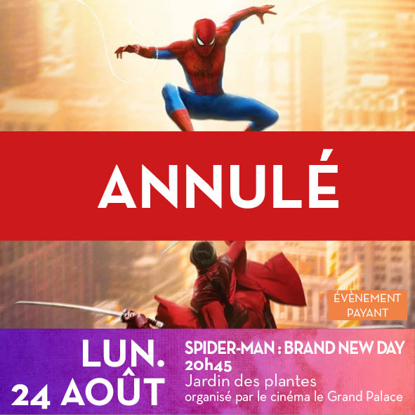 SPIDER-MAN : BRAND NEW DAY