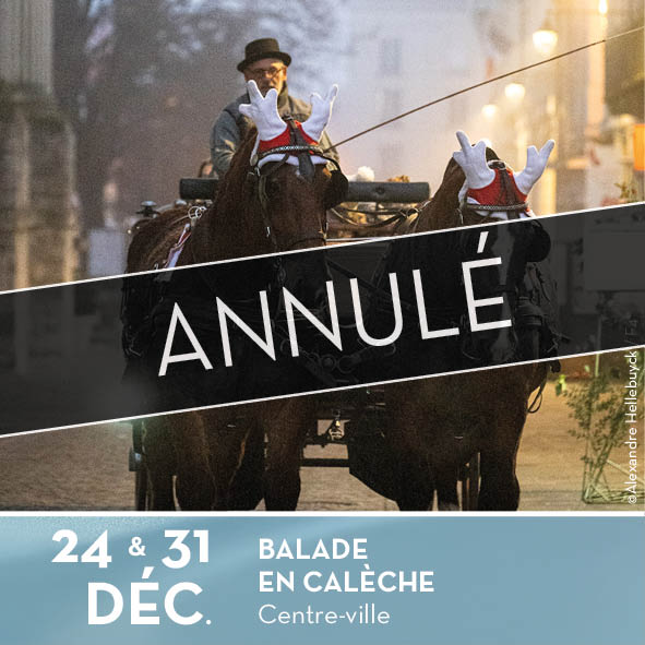 BALADES EN CALÈCHE