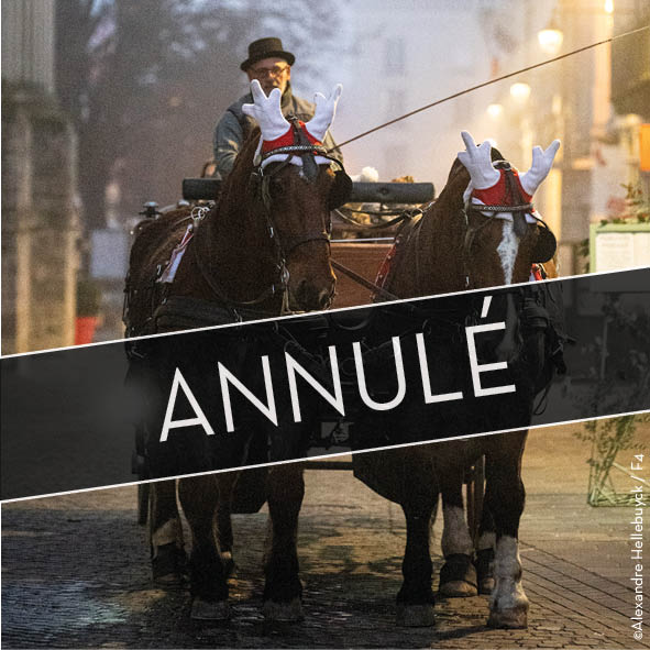 LES BALADES EN CALÈCHE