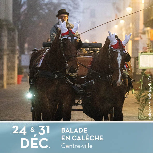 BALADES EN CALÈCHE
