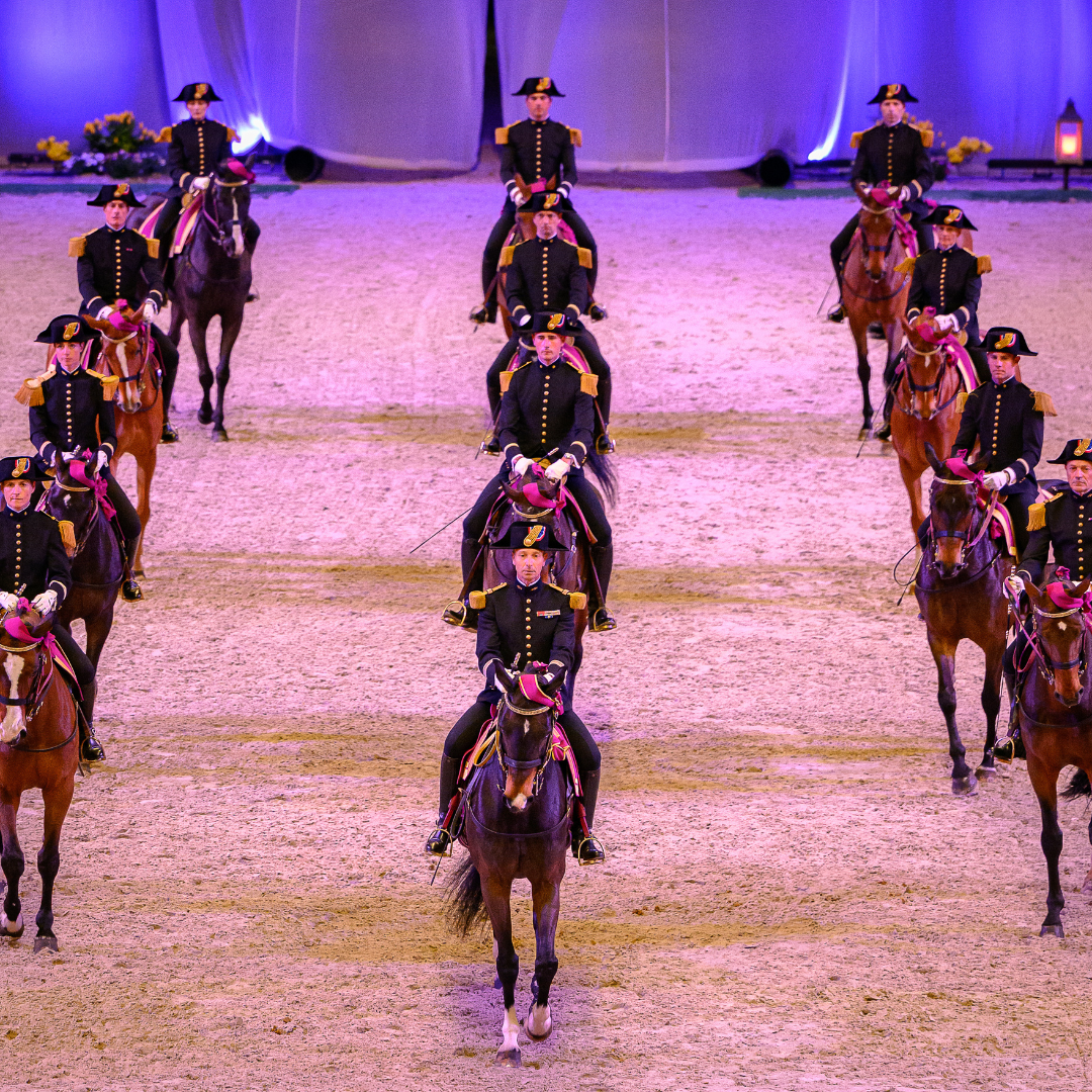 GALA DU CADRE NOIR : LES GALAS DU BICENTENAIRE
