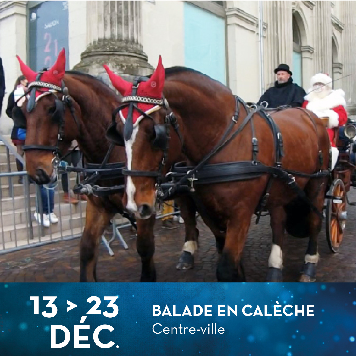 BALADES EN CALÈCHE