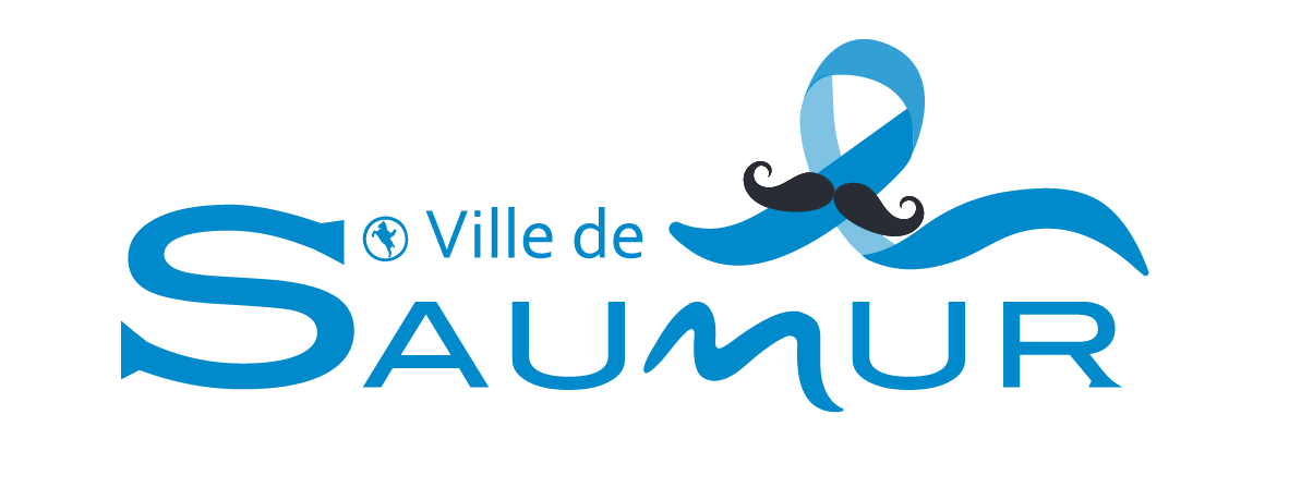 Logo Ville Agglo movember 12