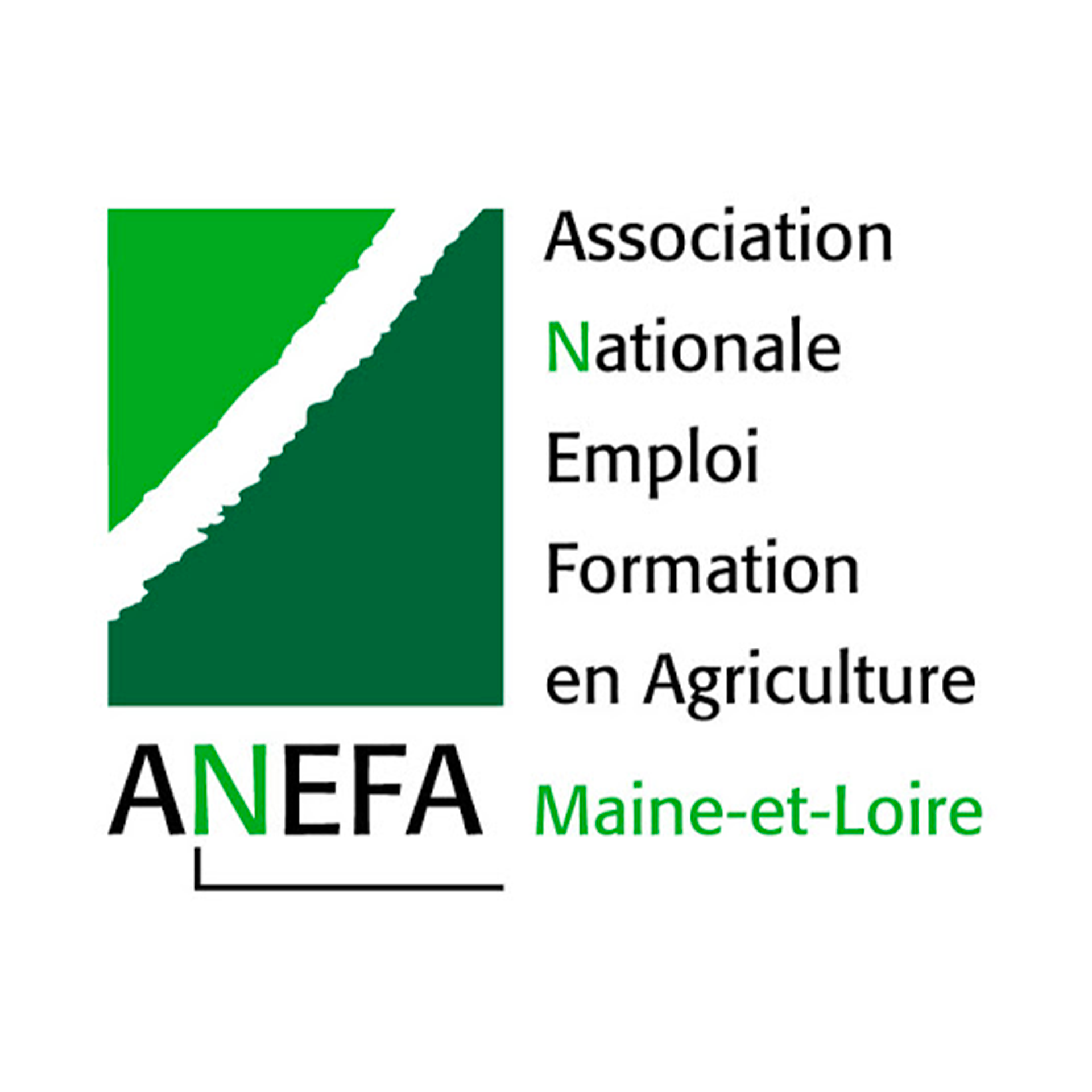 ANEFA49 logo