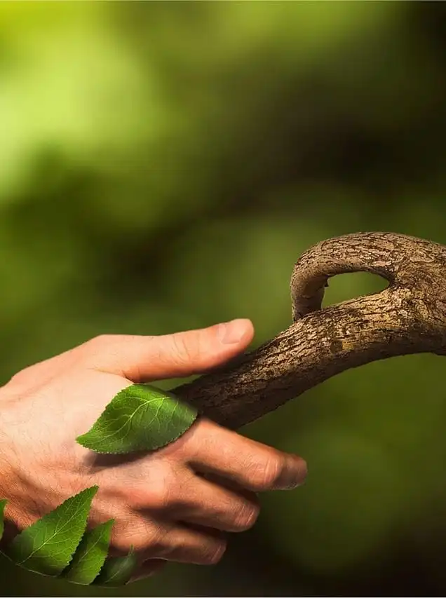 Ensemble pour la biodiversité