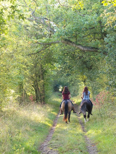 ballade equestre