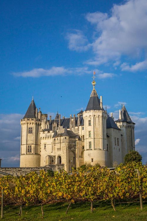 Visites thématiques