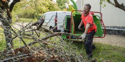 Déchets verts : comment les gérer au printemps ?