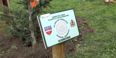 Un Cèdre du Liban planté pour célébrer 50 ans de jumelage entre Saumur et Warwick