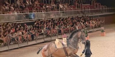 Les élèves de CM2 clôturent leur cycle pédagogique consacré au cheval