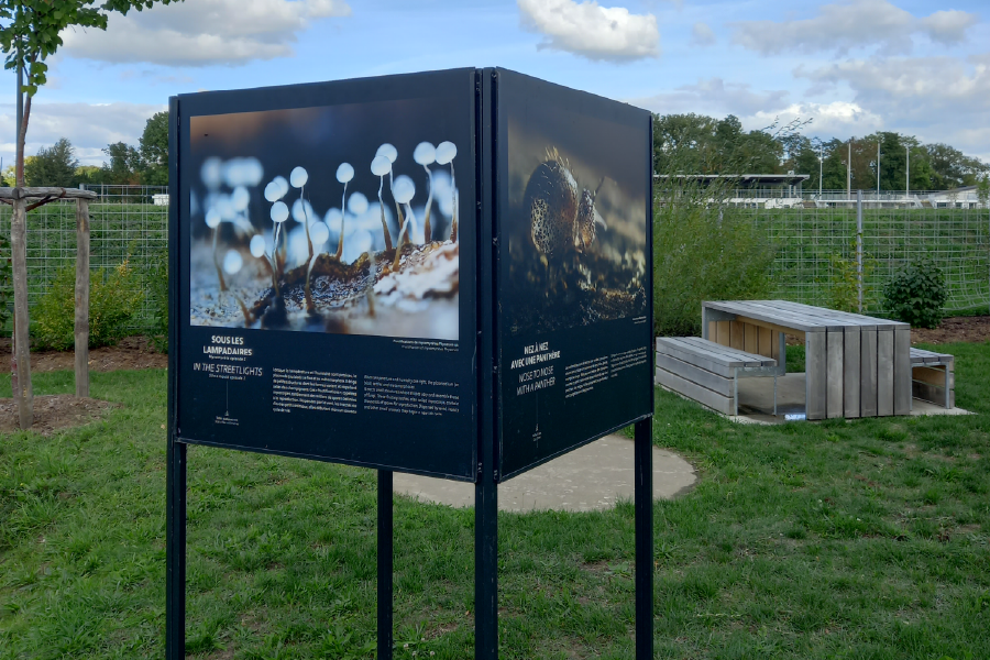 Exposition photographique « Sous nos pieds, l’invisible révélé » à l’Oasis d’Offard