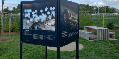 Exposition photographique « Sous nos pieds, l’invisible révélé » à l’Oasis d’Offard