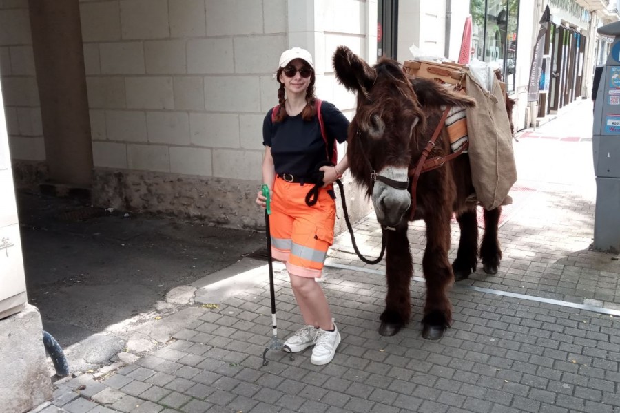 Le cheval au cœur de la ville