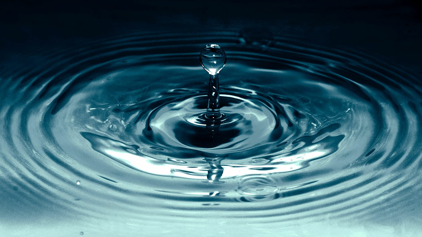 Sortie Nature : découverte du projet Halt'eau plastique