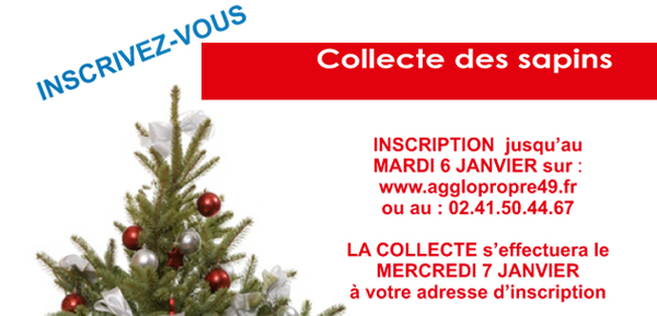 Collecte des sapins naturels