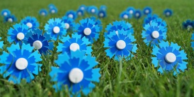 Commémoration du 11 Novembre aux couleurs du Bleuet