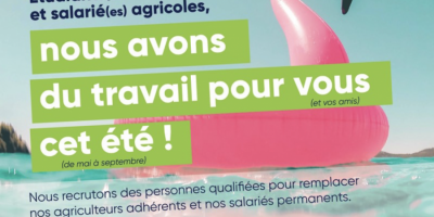 Service de remplacement : campagne de recrutement