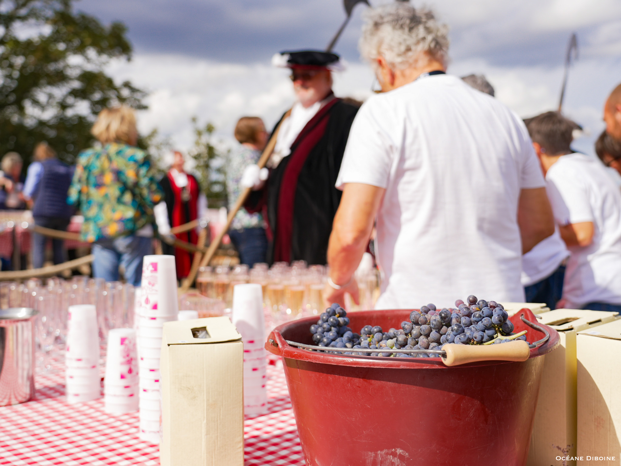 F&ecirc;te des vendanges