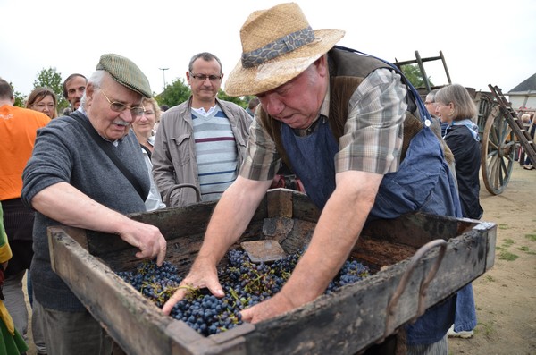 La Fête des vendanges millésime 2013