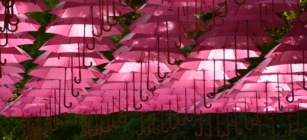 Saumur s'engage dans la lutte contre le cancer du sein et s'affiche en rose.