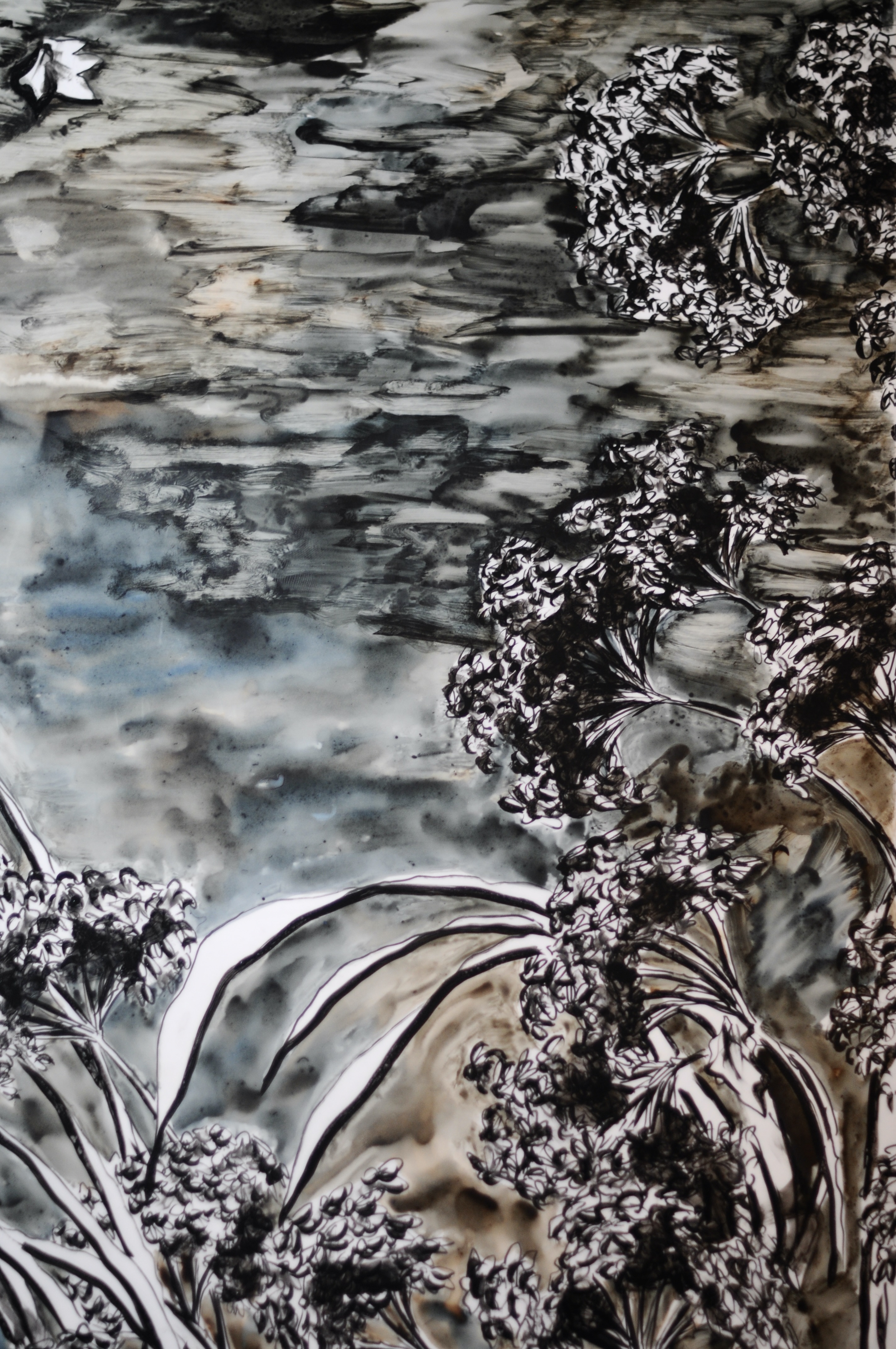 Exposition - Arrière-Pays, mon âme - Salomé Fauc