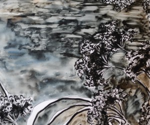 Exposition - Arrière-Pays, mon âme - Salomé Fauc