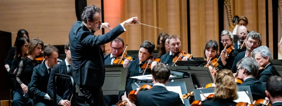 Le roi qui n'aimait pas la musique