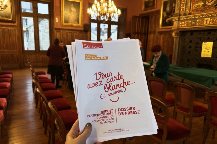 Budget Participatif 2025 : les r&eacute;sultats annonc&eacute;s ! 
