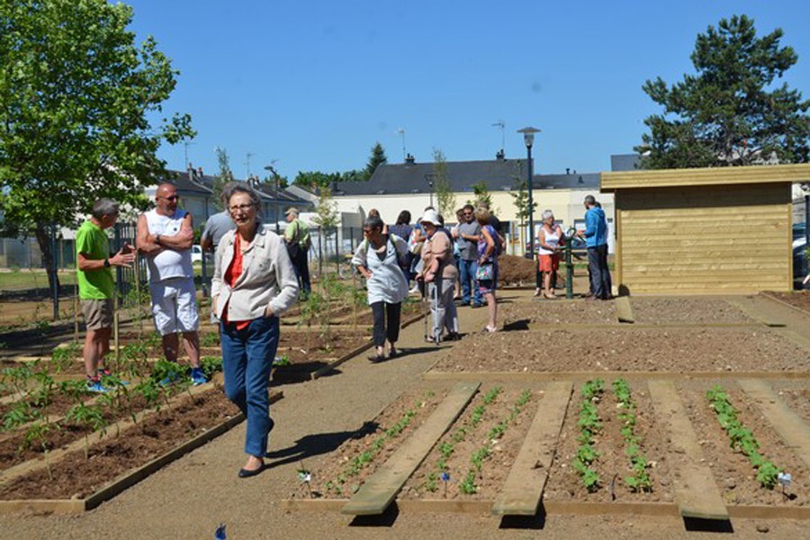 Jardin partagé, une nouvelle saison commence