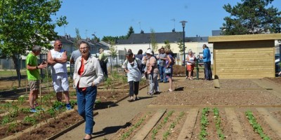 Jardin partagé, une nouvelle saison commence