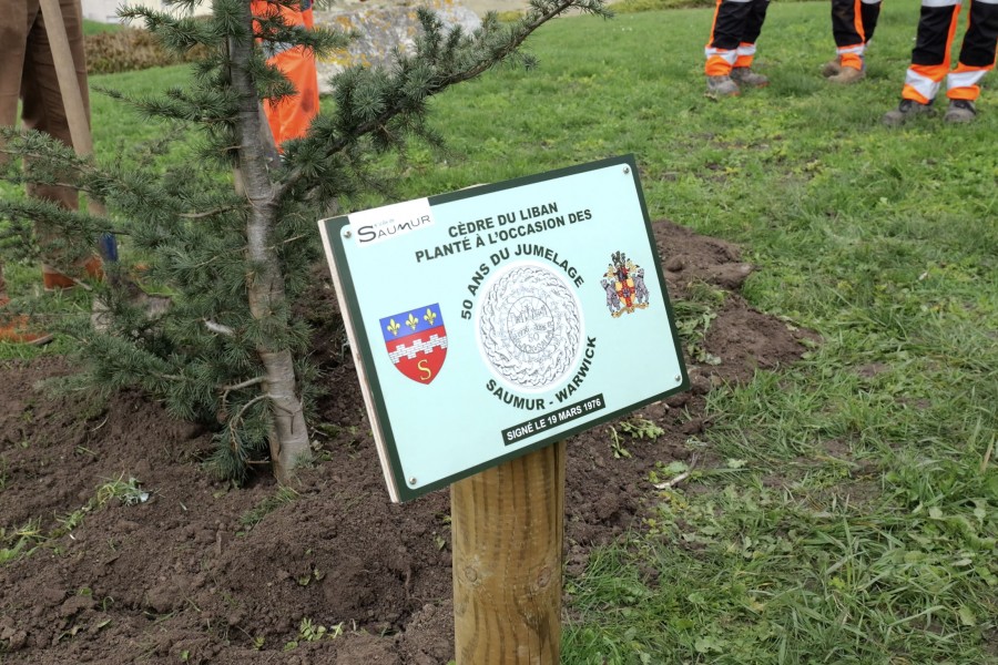 Un C&egrave;dre du Liban plant&eacute; pour c&eacute;l&eacute;brer 50 ans de jumelage entre Saumur et Warwick