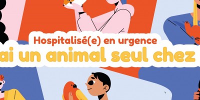 Le CCAS propose la carte "J'ai un animal seul chez moi"