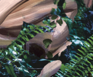 Exposition photographie et peinture Milieux Mondes