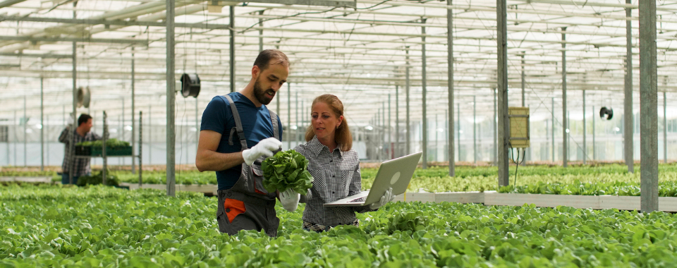 Agrimouv : Découvrir les métiers de la polyculture et de l'élevage