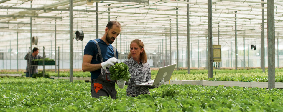 Agrimouv : Découvrir les métiers du végétal et du vivant