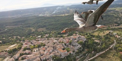 "Une saison dans le ciel" de... Saumur