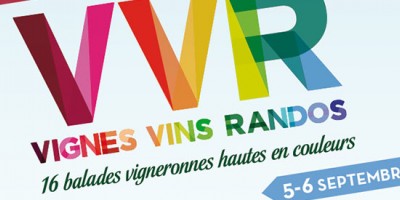 Vignes Vins Randos 2015: zoom sur les 2 balades saumuroises