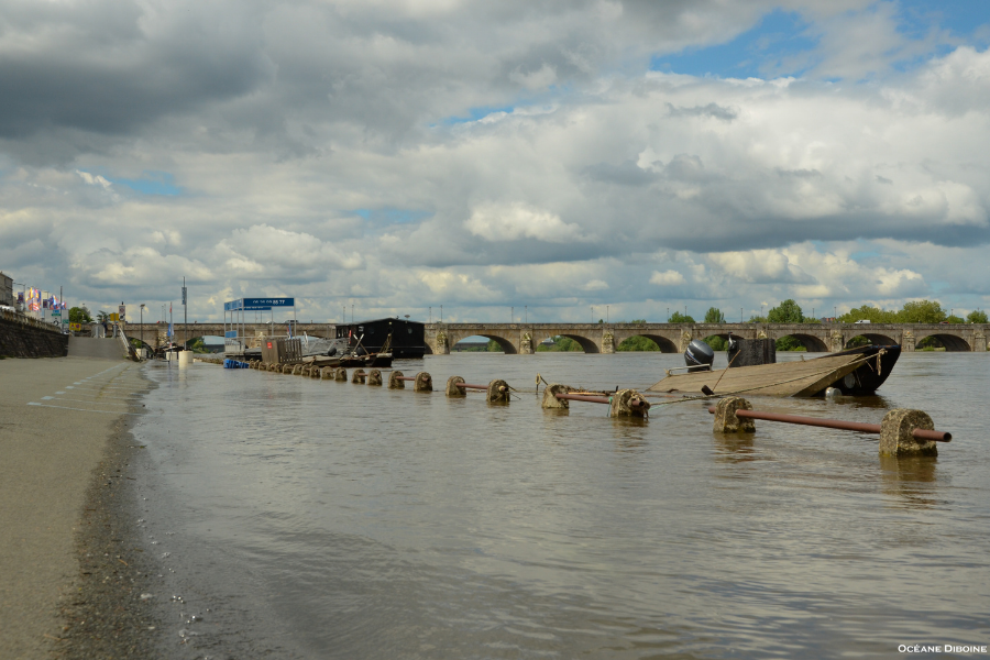 Vigilance crue &agrave; Saumur : mesures pr&eacute;ventives en cours