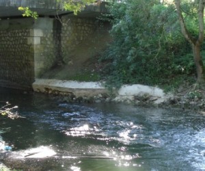 Rendez-vous nature en Anjou : jeu de piste en zone humide