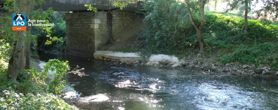 Rendez-vous nature en Anjou : jeu de piste en zone humide