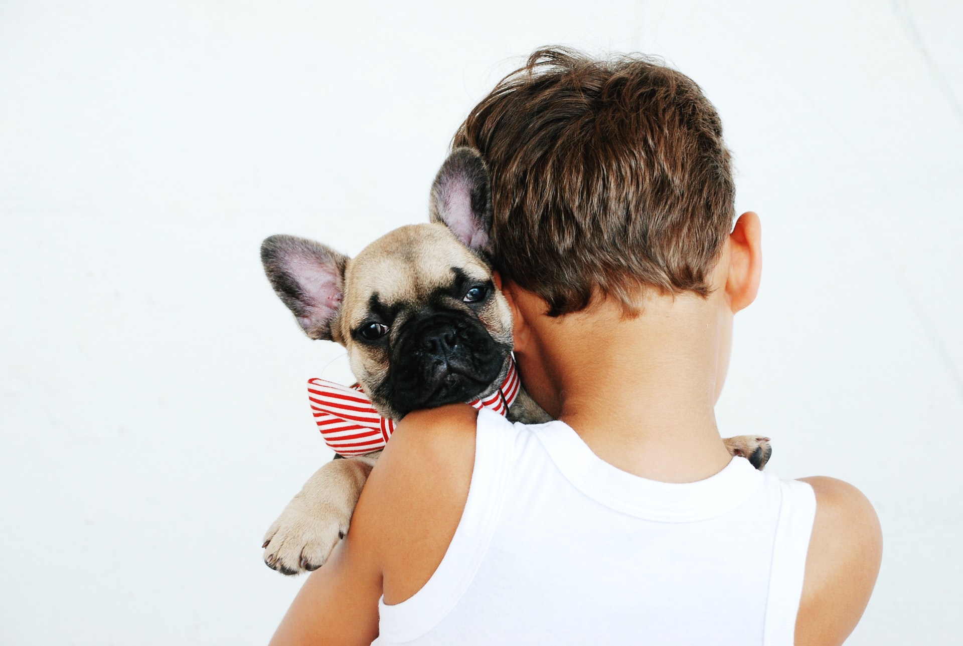 Semaine Nationale de l'identification des chiens et des chats