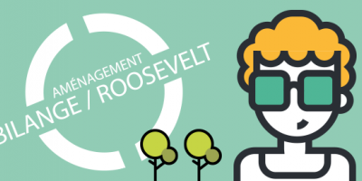 Du 5 au 9 février abattage des arbres de la rue Franklin Roosevelt