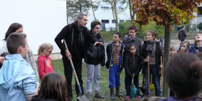 Un arbre planté pour l’espoir