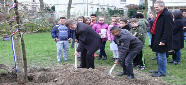 A Saumur : un arbre pour la Laïcité