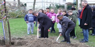 A Saumur : un arbre pour la Laïcité