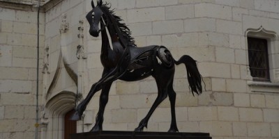 Le Of(f) Cheval s'installe à l'hôtel de ville