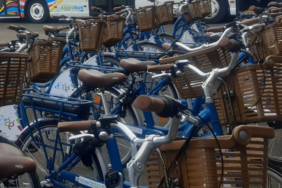 Louer un vélo : la solution éco-responsable pour vos déplacements
