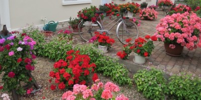 Le concours des maisons fleuries en résultats et en fleurs