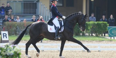 L'élite du dressage à Saumur